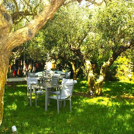Mariya Art Living Apartment Nea Skioni Exterior foto